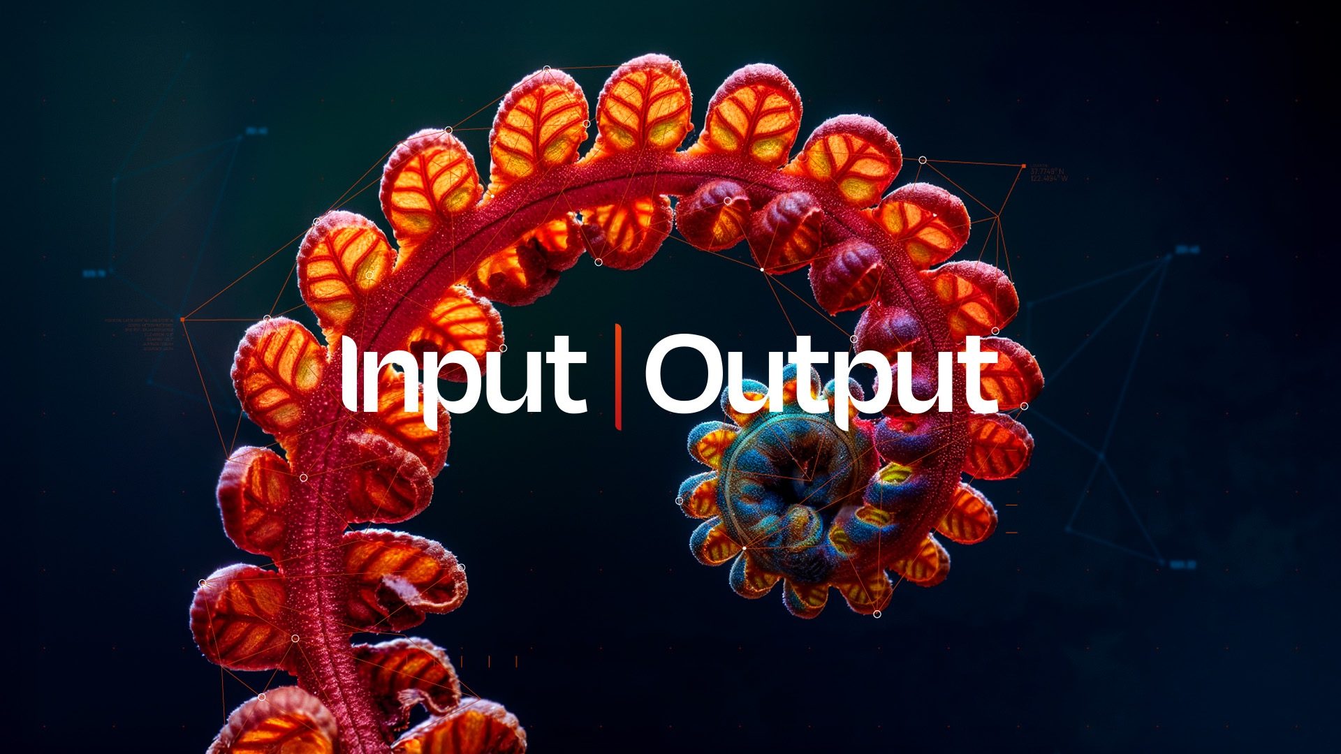 Input Output Fern Spiral